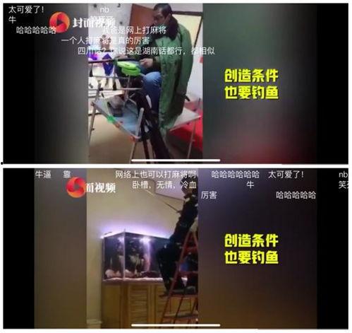 娱乐爆料时代,娱乐爆料时代的风云变幻  第3张